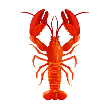 Istakoz. Düz vektör clipart, izole edilmiş arkaplan ile illüstrasyon.