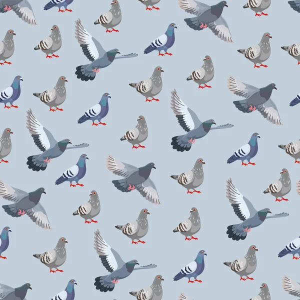 Güvercin kuşu kusursuz desen. Düz vektör clipart, izole edilmiş arkaplan ile illüstrasyon.