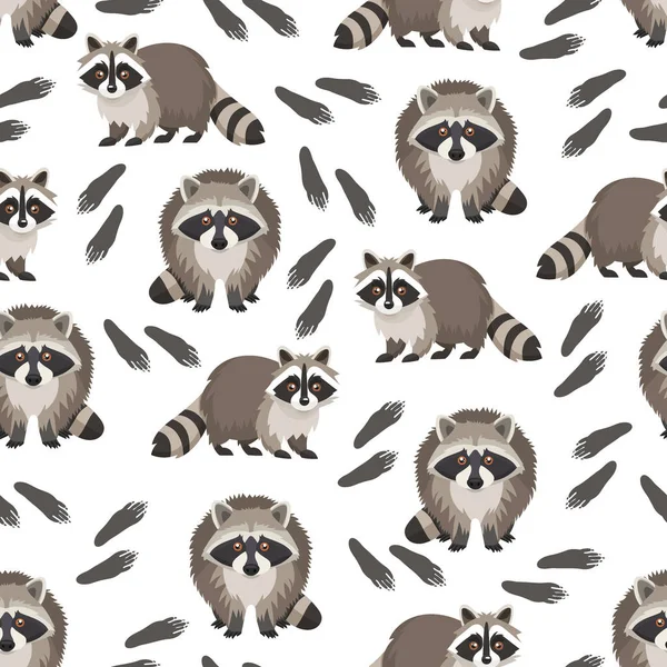 Rakun. Düz vektör clipart, izole edilmiş arkaplan ile illüstrasyon.