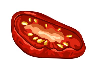 Güneşte kurutulmuş domates. Düz vektör clipart, izole edilmiş arkaplan ile illüstrasyon.