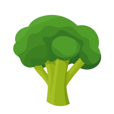 Brokoli sebzesi. Düz vektör clipart, izole edilmiş arkaplan ile illüstrasyon.