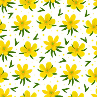 Eranis 'in çiçeğinin dikişsiz deseni. Düz vektör clipart, izole edilmiş arkaplan ile illüstrasyon.