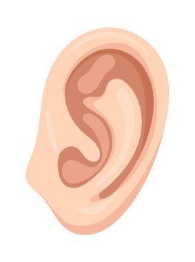 Kulak, vücut parçaları. Düz vektör clipart, izole edilmiş arkaplan ile illüstrasyon.