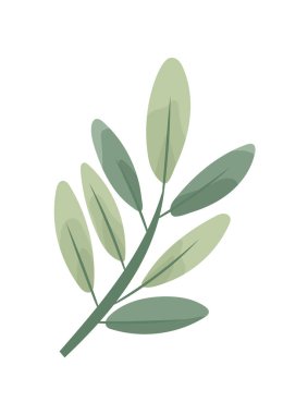 Yumuşak yeşil yapraklı minimalist dal düz vektör tarzında, beyaz arka planda izole. Zarif botanik çizimi. Düz vektör clipart, izole edilmiş arkaplan ile illüstrasyon.