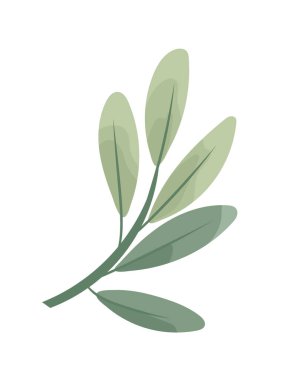 Yumuşak yeşil yapraklı minimalist dal düz vektör tarzında, beyaz arka planda izole. Zarif botanik çizimi. Düz vektör clipart, izole edilmiş arkaplan ile illüstrasyon.