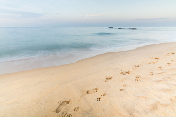 Footprints of Man and Dog on the Sand in Hikkaduwa