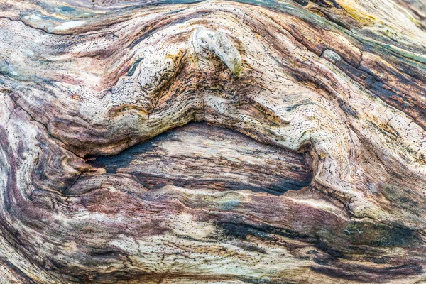 Mehrfarbiges Holzmuster Detail — Stockfoto