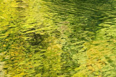 Yeşil ve sarı dalgaların yansıması Usk Nehri'nin