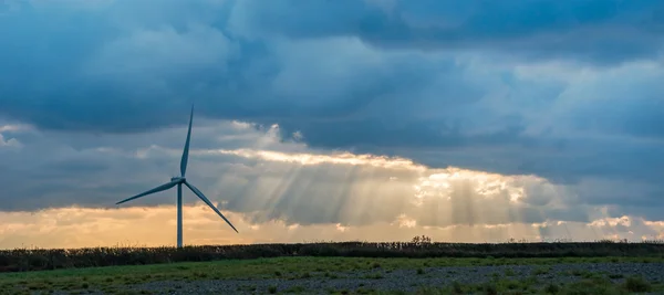 Rüzgar Türbini ve yapraklara