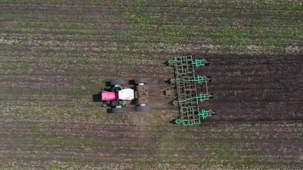 Vista aérea - trator com um arado cultivando o campo. Conceito agrícola — Vídeo de Stock