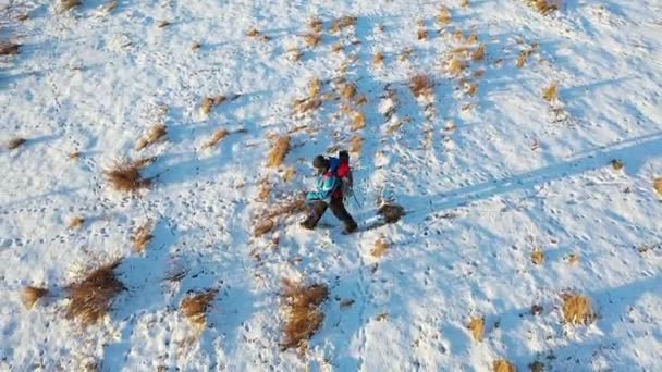 Een eenzame wandelaar loopt over een eindeloos besneeuwd veld. Reisconcept in extreme omstandigheden. Bovenaanzicht vanuit de lucht. — Stockvideo