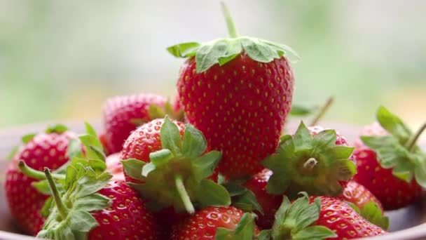 Fraise sur une plaque d'argile recouverte de gouttelettes d'eau tournent sur fond naturel flou. — Video