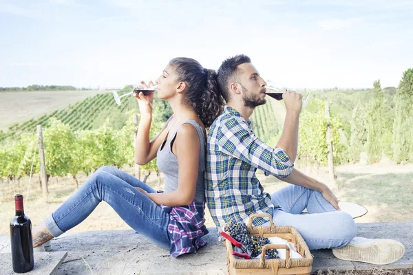 Young couple toasting in a vineyard — Stock Photo, Image