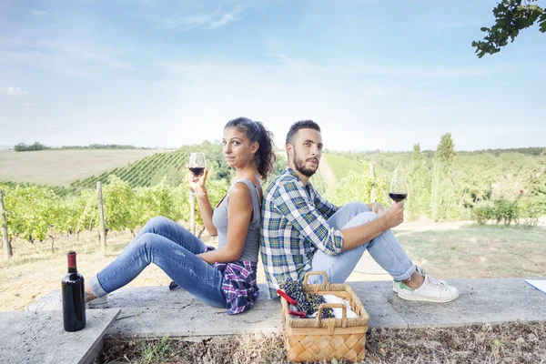 Young couple toasting in a vineyard — Stock Photo, Image