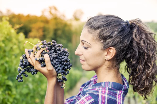 Bonita chica muestra uvas en un viñedo —  Fotos de Stock