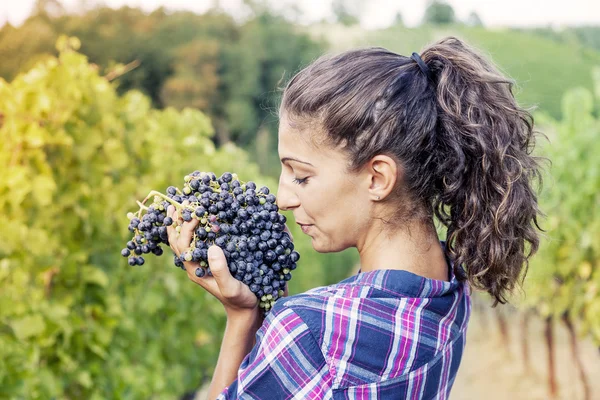 Hübsches Mädchen zeigt Trauben in einem Weinberg — Stockfoto