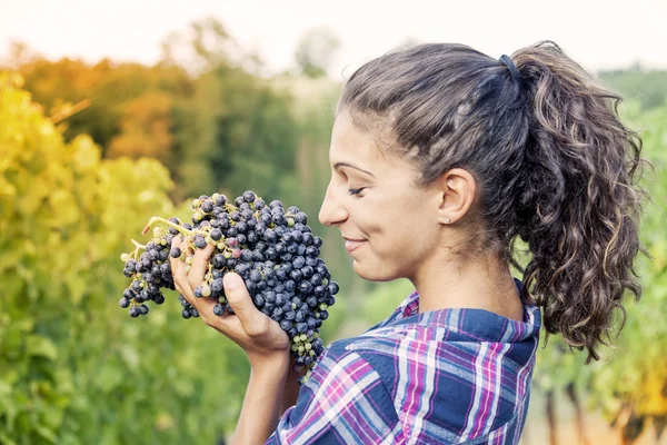 Hübsches Mädchen zeigt Trauben in einem Weinberg — Stockfoto