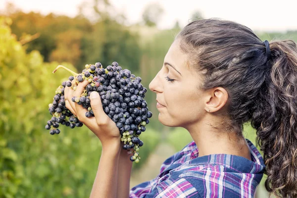 Menina bonita mostra uvas em uma vinha — Fotografia de Stock