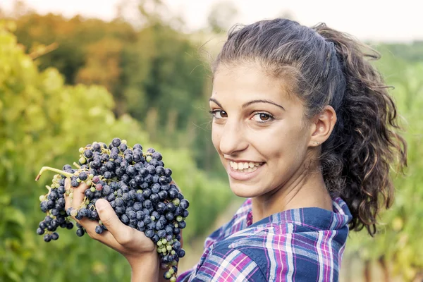 Bonita chica muestra uvas en un viñedo — Foto de Stock