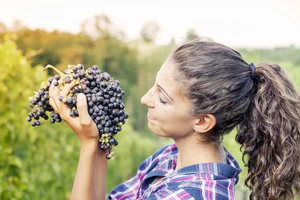 Красива дівчина показує виноград у винограднику — стокове фото