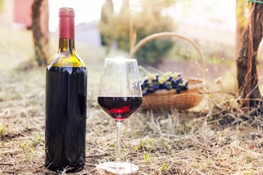 kırmızı şarap şişesi ve kırsal alanlarda şarap cam