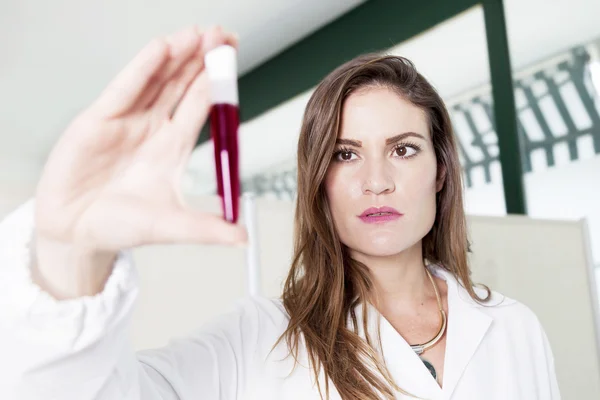 Női orvos megvizsgálja a laboratóriumi vér cső — Stock Fotó