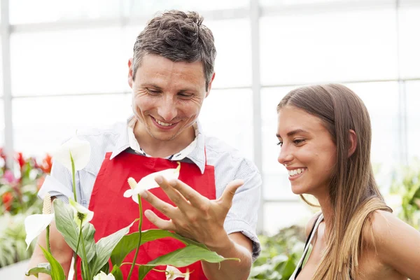 Smiling salesman sells a plant to a pretty customer — Stock Photo, Image