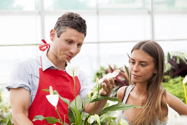 Smiling salesman sells a plant to a pretty customer — Stock Photo, Image