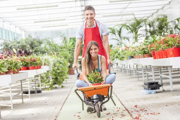 Sellers couple have fun pushing the wheelbarrow in a greenhouse — Stock Photo, Image