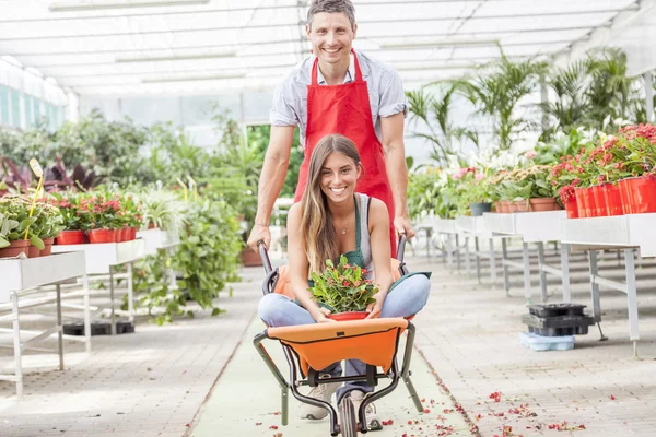 Sellers couple have fun pushing the wheelbarrow in a greenhouse — Stock Photo, Image