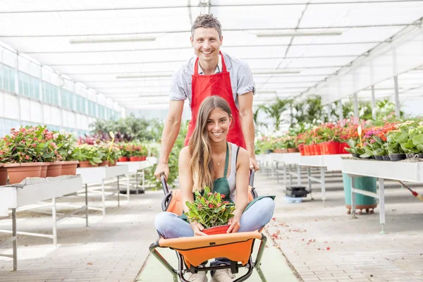 Sellers couple have fun pushing the wheelbarrow in a greenhouse — Stock Photo, Image