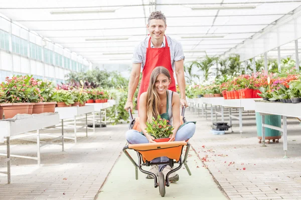 Sellers couple have fun pushing the wheelbarrow in a greenhouse — Stock Photo, Image