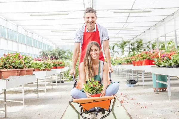 Sellers couple have fun pushing the wheelbarrow in a greenhouse — Stock Photo, Image