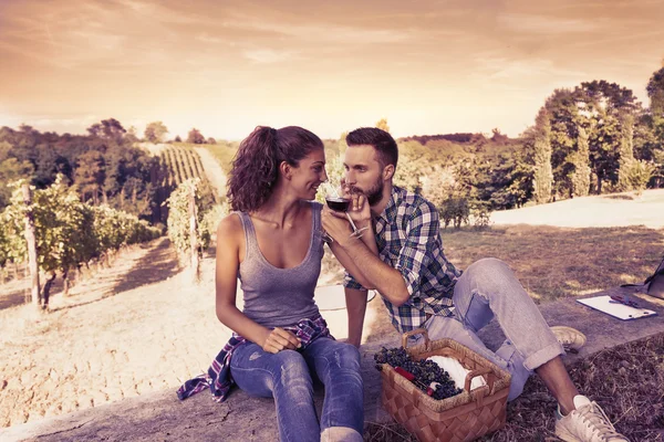 Tineri cuplu toasting într-o podgorie — Fotografie, imagine de stoc