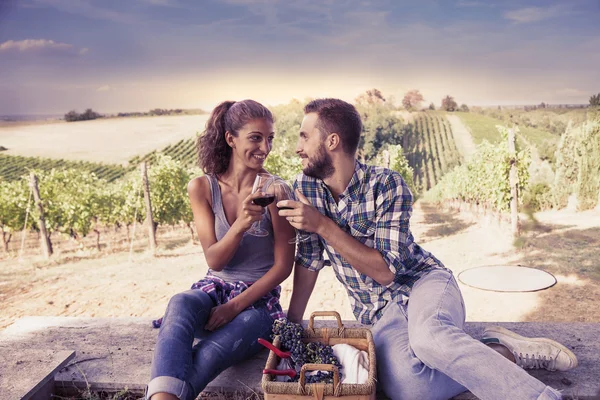 Young couple toasting in a vineyard — Stock Photo, Image