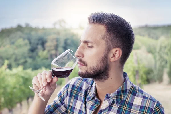 Knappe bebaarde man is glas wijn vóór het drinken — Stockfoto