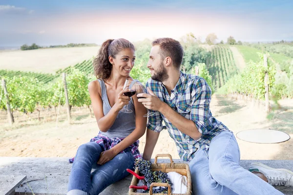 Young couple toasting in a vineyard at sunset — Stock Photo, Image