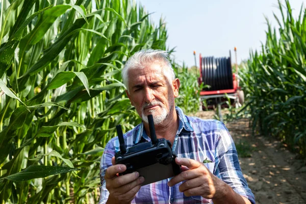 modern technological farmer analyzing the growth of corn by flying a drone over his cultivated fields. concept of sustainable exploitation of natural resources.