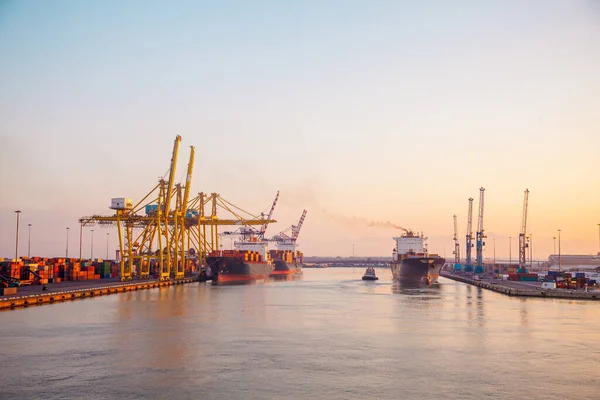 Panoramic Industrial Port Mediterranean Sea Sunrise Crane Ship — Stock Photo, Image