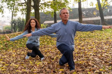 Olgun çift, sonbahar yaprakları dökülmüş bir parkta tai chi hareketleri yapıyor.