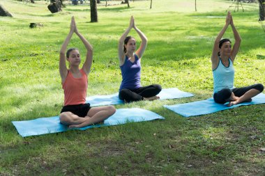 Çekici anne ve iki kızı parkta yoga yaparak rahatlıyorlar. Sağlıklı yaşam tarzı kavramı.