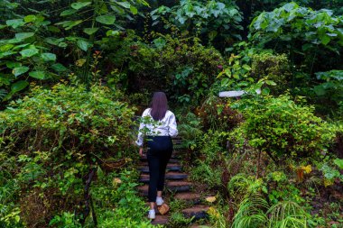 Macera eğlencesi ve seyahat konsepti. Turizmin arka tarafında genç bir kadın ayakta duran bir ceket giyer ve Ulusal Park 'ta doğa yolunda yürümeye başlar.. 
