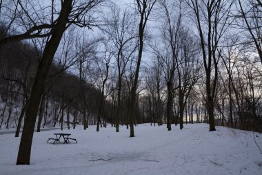 Mont Royal kış orman manzara, yolu kar kaplı..