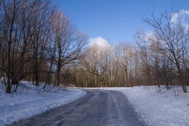 Yalnız yol, buz ve kar, kış orman manzarası, mavi sk