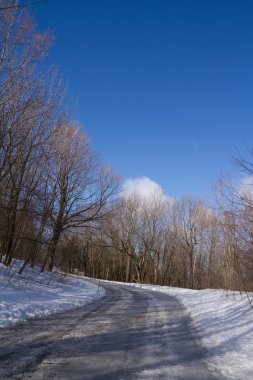 Yalnız yol, buz ve kar, kış orman manzarası, mavi sk