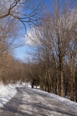 Yalnız yol, buz ve kar, kış orman manzarası, mavi sk