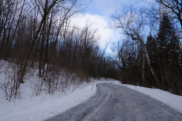 Buz ve kar, kış orman manzarası ile yalnız yol