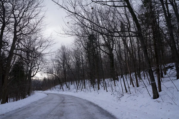 Buz ve kar, kış orman manzarası ile yalnız yol