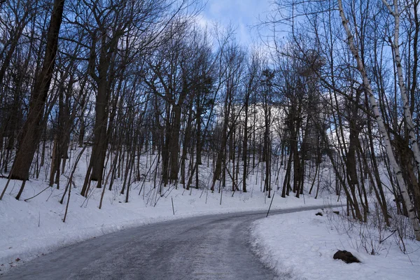 Buz ve kar, kış orman manzarası ile yalnız yol
