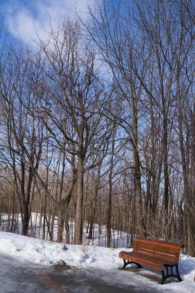 Mont Royal kış orman manzara, yol kaplı kar ve 